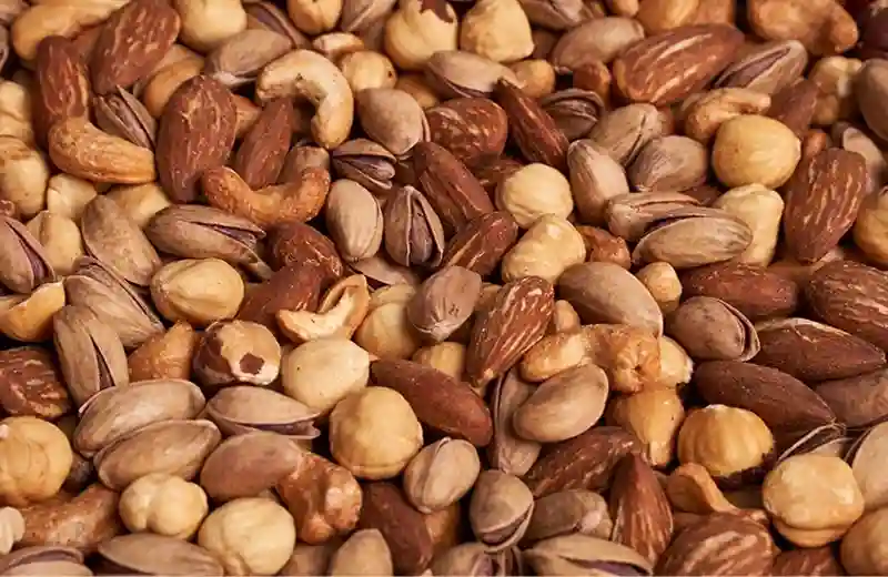 The Scientific Effects of Nuts on Mental Performance