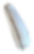 Seed