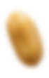Seed