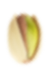 Seed