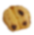 Seed