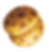 Seed