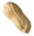 Seed