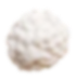 Seed