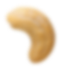 Seed