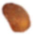 Seed
