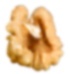 Seed
