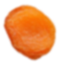 Seed