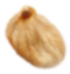 Seed