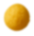 Seed