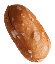 Seed