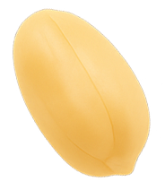Seed