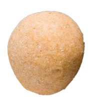 Seed