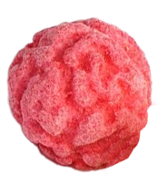 Seed