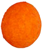 Seed