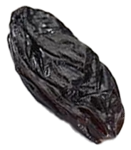 Seed