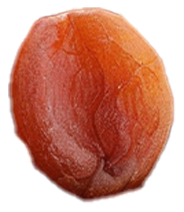 Seed