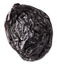Seed