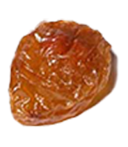 Seed
