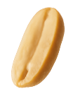 Seed