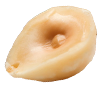 Seed