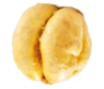 Seed