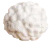 Seed