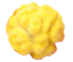Seed