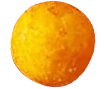 Seed
