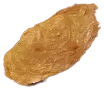 Seed