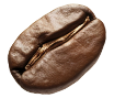 Seed