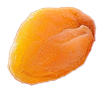 Seed