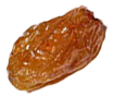 Seed
