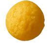 Seed