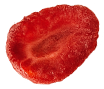 Seed