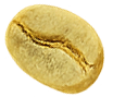 Seed