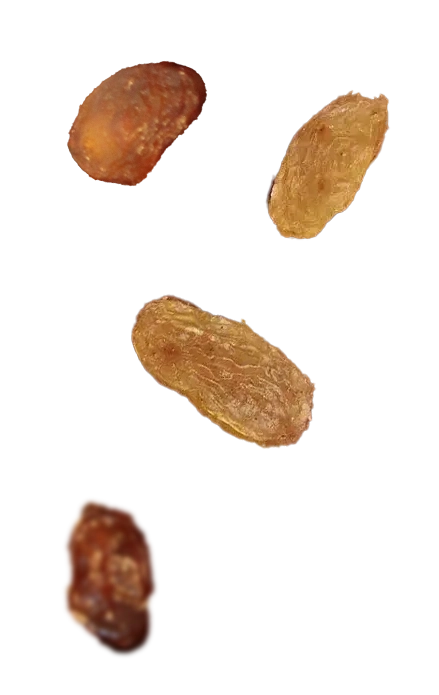 Right Product