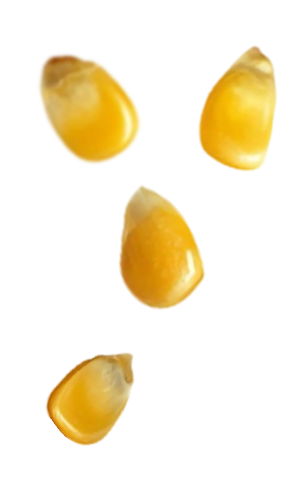 Right Product