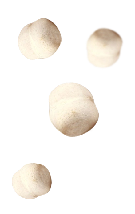 Right Product
