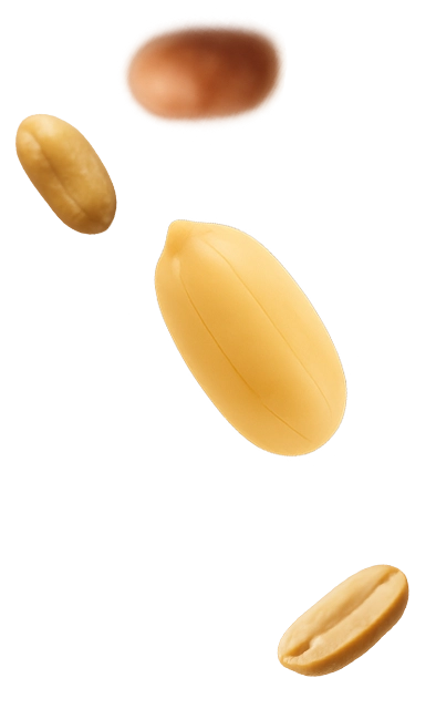 Right Product