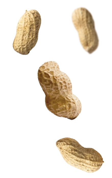 Right Product