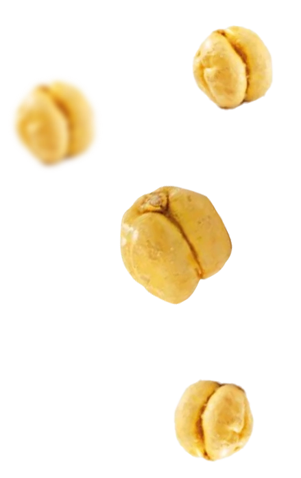 Right Product