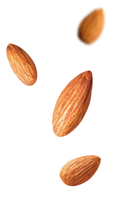 Left Product