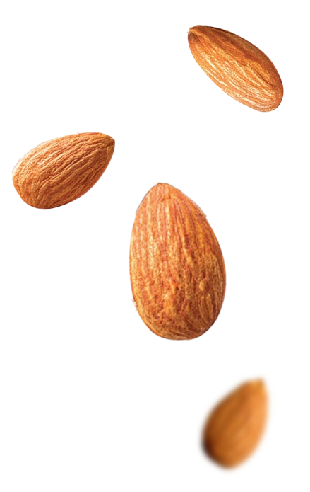 Right Product