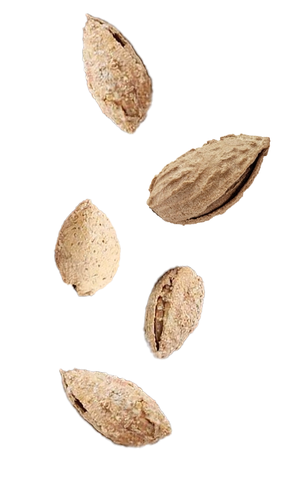 Left Product