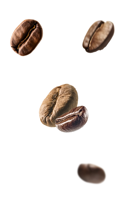 Right Product