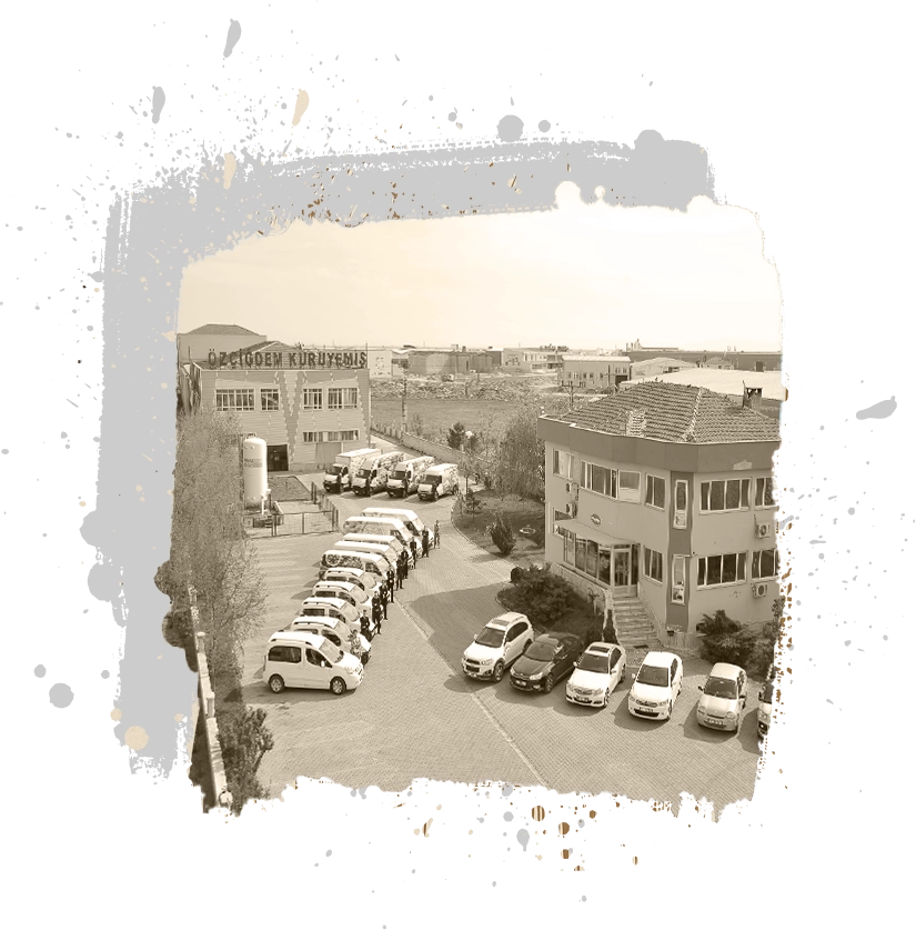 2006